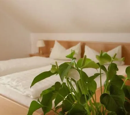 Hotel Schatzberger