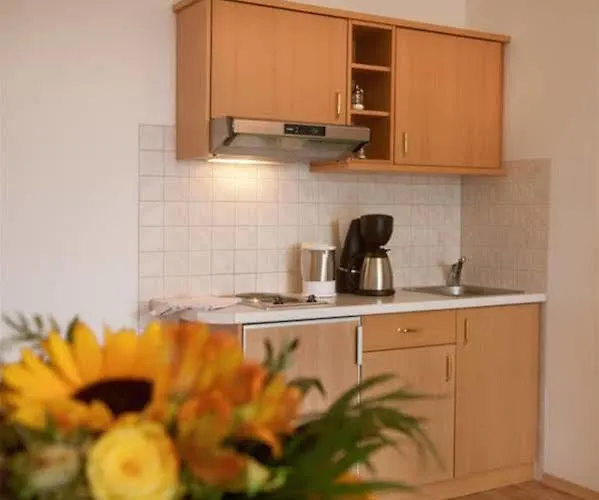 Schatzberger ホテル 3*