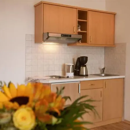 Schatzberger Готель 3*