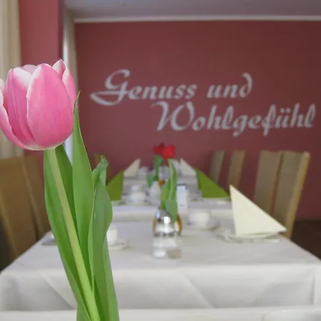 Готель Schatzberger 3*